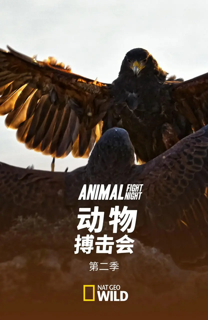 《动物搏击会 第二季》：这哪是动物，分明是‘大秦帝国之纵横’里的诸侯争霸！